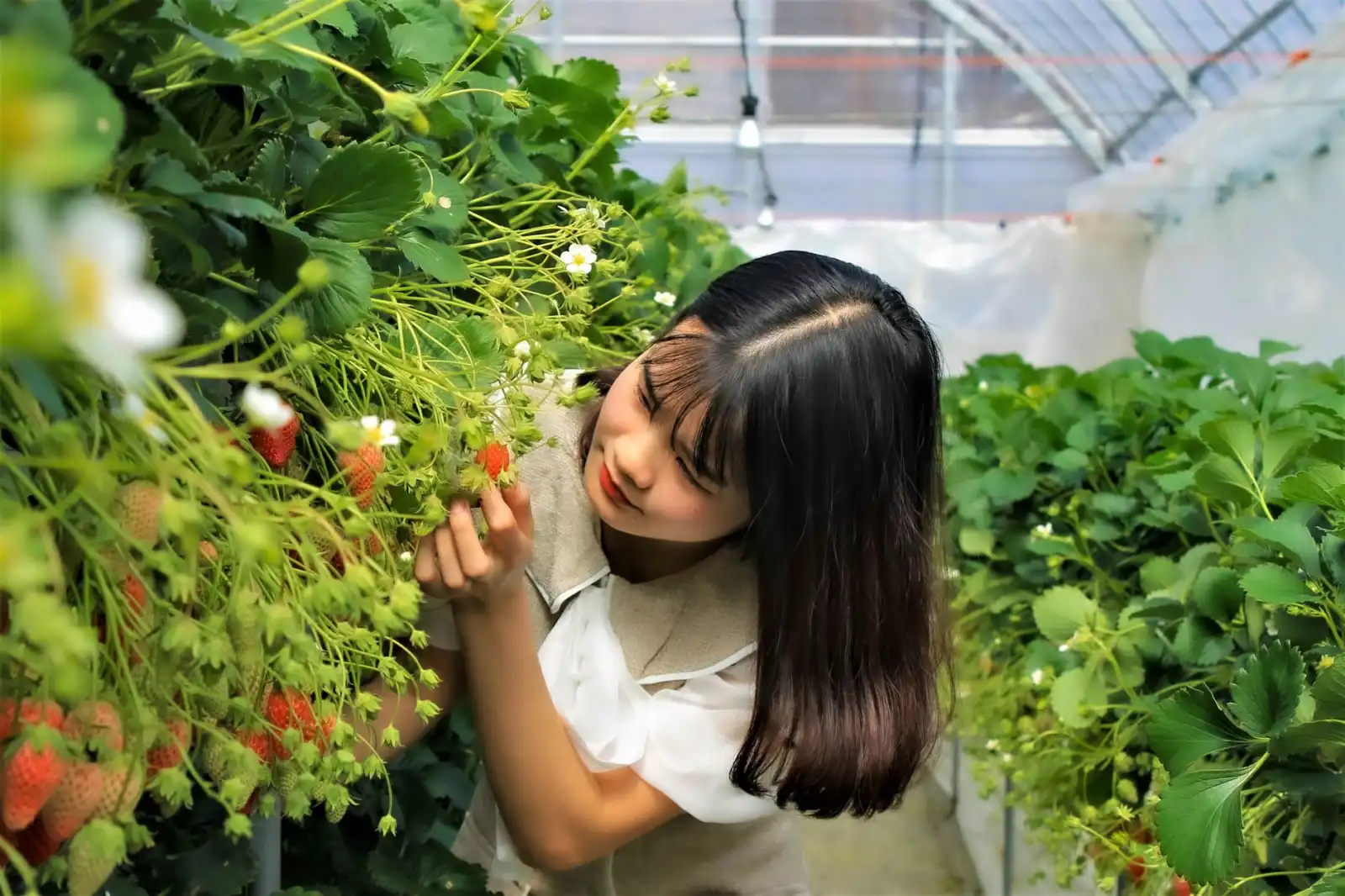 临沂仓储货架与托盘搭配方案：提升仓库空间利用率的三类常见布局