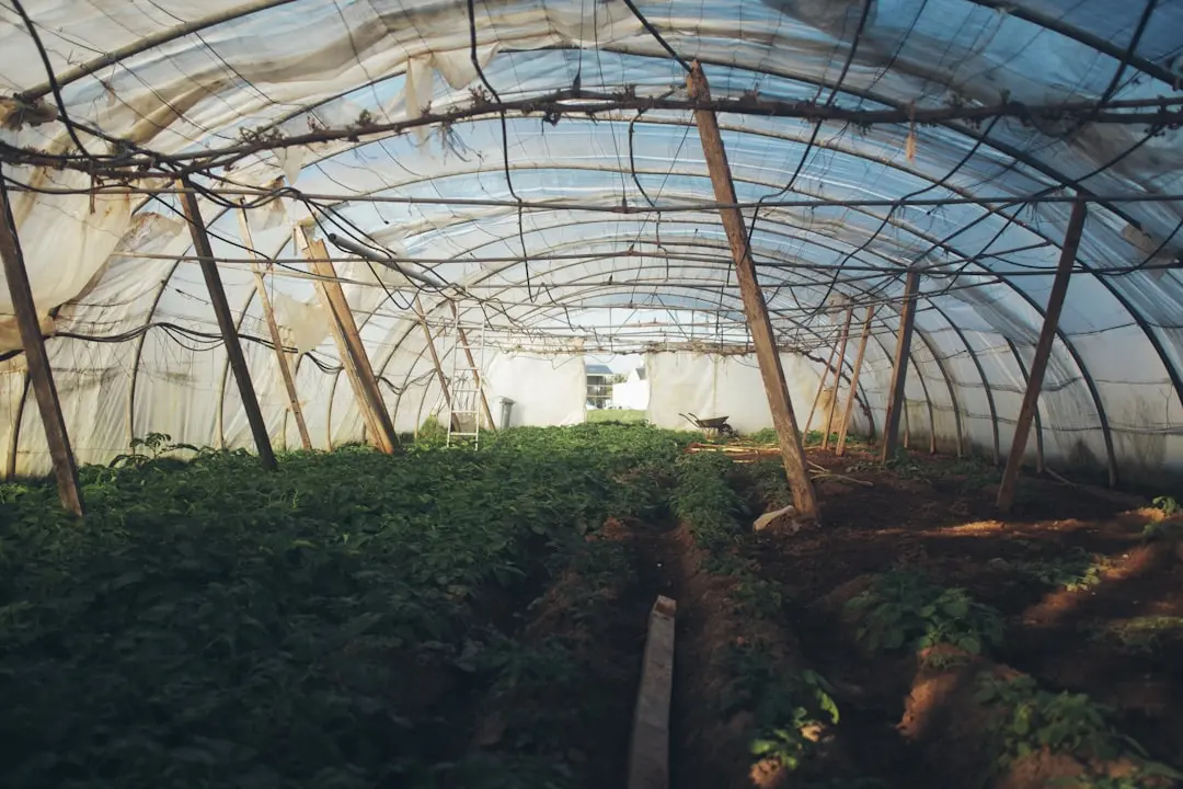 物流周转箱与笼车在制造业物料周转中的实际应用案例